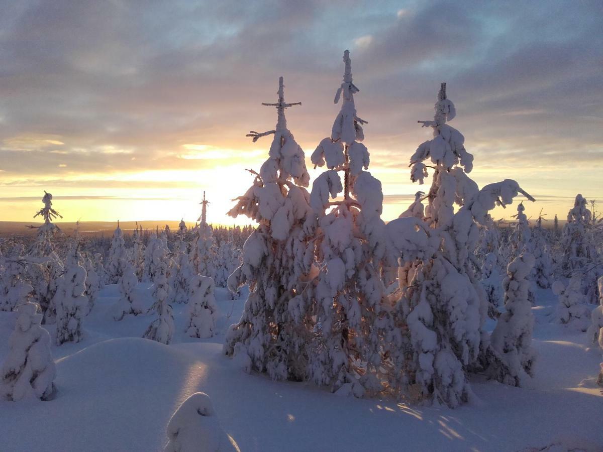 Ollilan Lomamajat Kuusamo Exterior foto